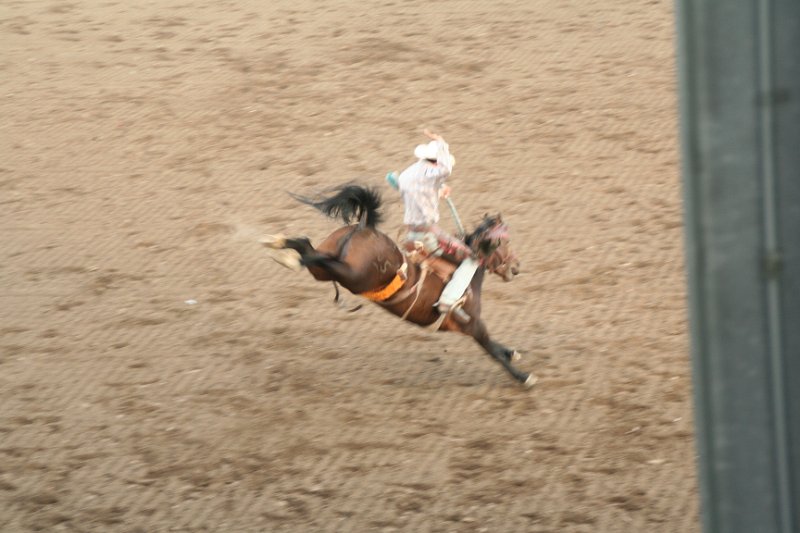Trip (193).JPG - Bucking broncos at the Cody, Wyoming rodeo